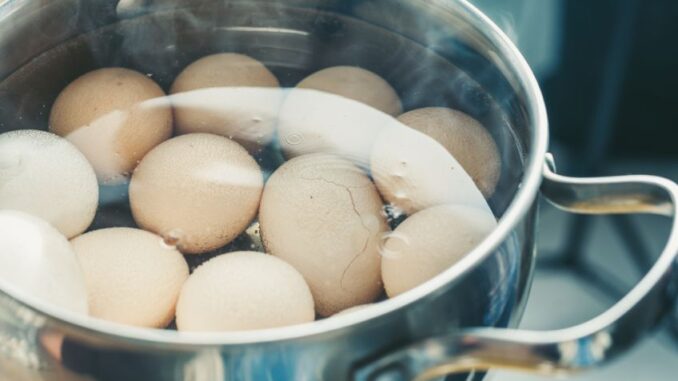 Proč byste měli začít vařit vajíčka s citronem? Zkuste to, výsledek vám usnadní práci při jejich oloupávání