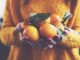 Zazimování citrusů má svá pravidla. Pozor si dejte především na zálivku