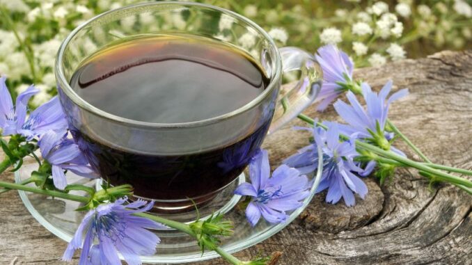 Melta ani caro nejsou pouhou „náhražkou“ kávy, ale plnohodnotnými nápoji s mnoha zdravotními přínosy
