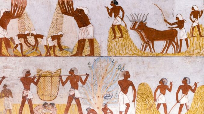 Jídlo ve starém Egyptě: Pivo pili ke všemu, někdy si dali i myši