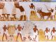 Jídlo ve starém Egyptě: Pivo pili ke všemu, někdy si dali i myši