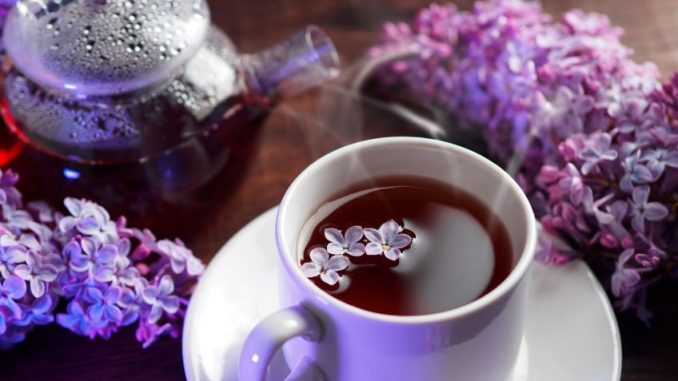 Z květů šeříku připravíte sladký osvěžující nápoj i horký čaj. Využití mají i v kosmetice