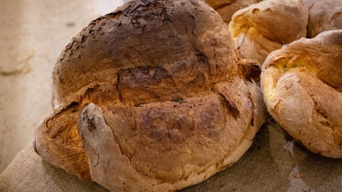 Altamurský chléb: Pečivo s přísnými pravidly, jehož historie je tisíce let dlouhá