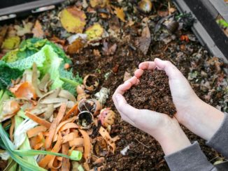 Co patří na kompost: Pytlíky od čaje i pivo přidat můžete, jiným surovinám se ale vyhněte