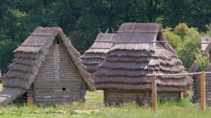 Jak se jedlo za časů svatého Václava? Do domků se nevešla ani kuchyně, ve stravě dominovala mouka