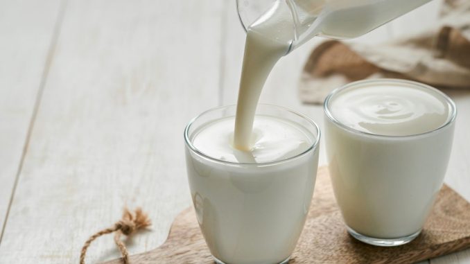 Mléčné nápoje s probiotiky mají pozitivní vliv na zdraví. Dejte ale pozor na množství cukru v nich