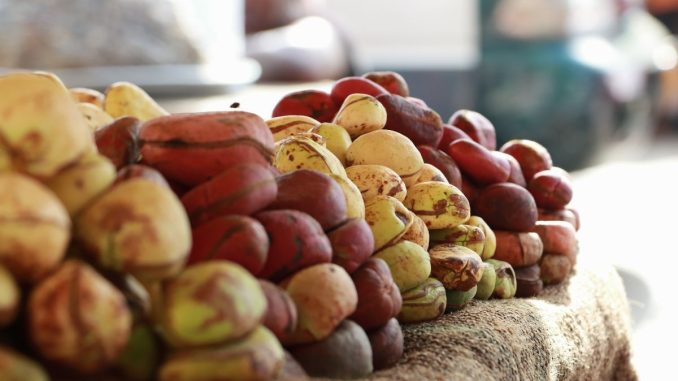 Kolový ořech se využíval k výrobě coly. Má afrodiziakální účinky a pomáhá s bolestmi žaludku