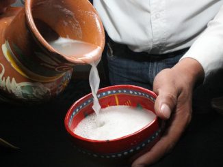 Pulque: Zdravý drink z agáve, kterému se právem přezdívá nápoj bohů