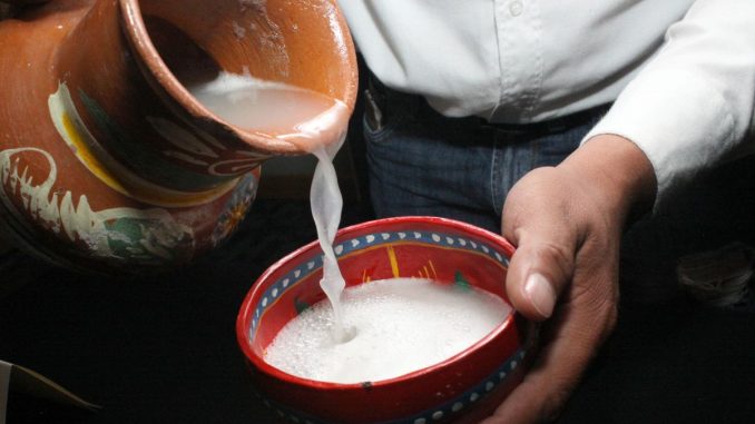 Pulque: Zdravý drink z agáve, kterému se právem přezdívá nápoj bohů