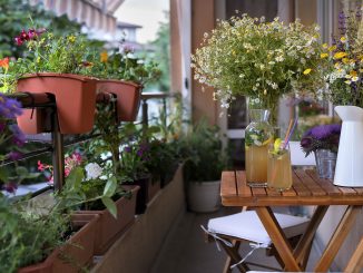 Proměňte svůj balkon v zahradu. Pěstovat na něm můžete jahody i meloun