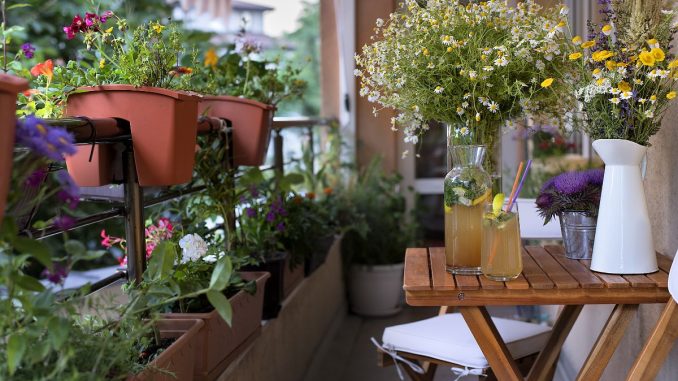 Proměňte svůj balkon v zahradu. Pěstovat na něm můžete jahody i meloun