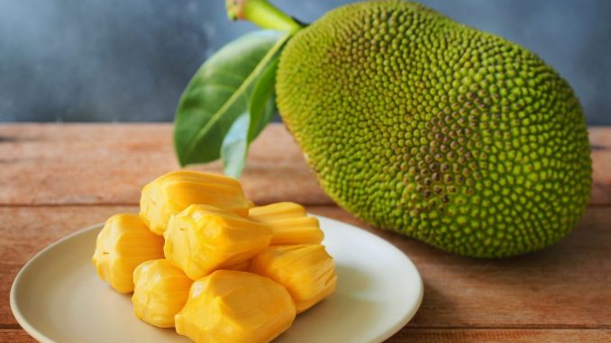 Jackfruit: Gigant mezi ovocem, který zvládne nahradit i maso