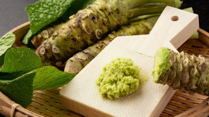Wasabi: Pikantní superpotravina s řadou zdravotních přínosů. Působí proti zánětům a zlepšuje paměť