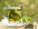 Připravte si kopřivový čaj a objevte léčivou sílu pálivých listů