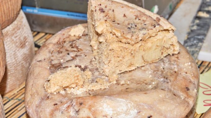 Casu marzu: Shnilý sýr, který prošel trávicím systémem larev, je na Sardinii považován za pochoutku