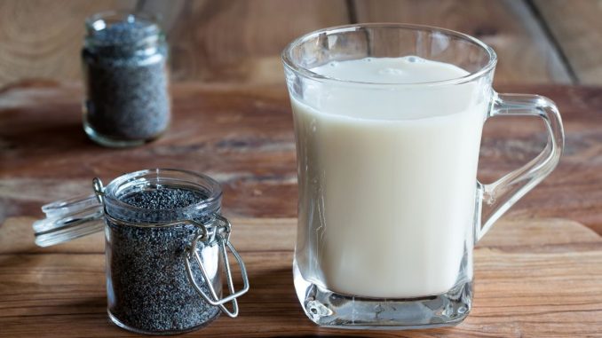 Makové mléko můžete pít i při keto dietě. Mák navíc obsahuje velké množství vlákniny a proteinů