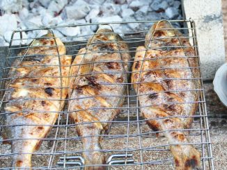 Treska na grilu: Ryba s bylinkovým máslem chutná skvěle s pečenou zeleninou i bramborovým salátem