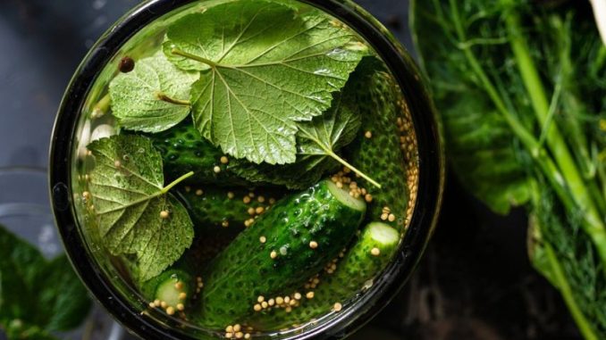 Okurková limonáda s citronem má plno vitamínů a minerálů. Jde o jedno z nejlepších letních osvěžení