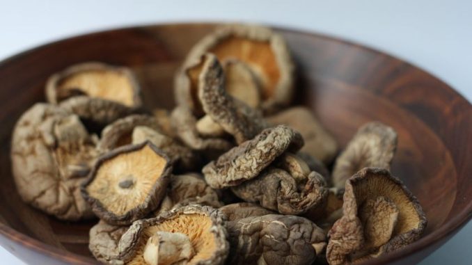 Houba shiitake: Asijský poklad v české kuchyni