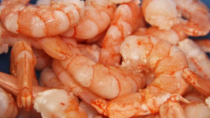 Shiokara: Na mořských plodech nakládaných v jejich vlastních vnitřnostech si v Japonsku pochutnávají